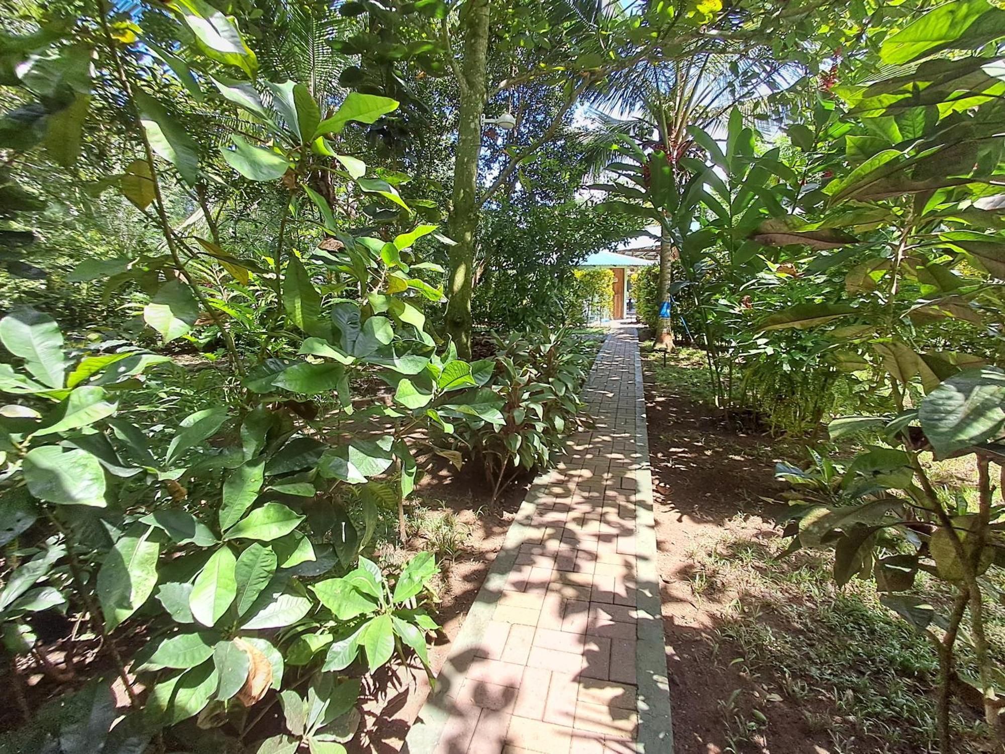 New Caribe Point Villa Cahuita Eksteriør bilde